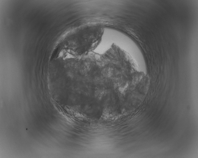 X0000060250679200511241401