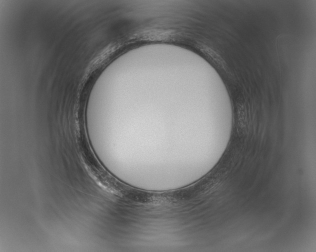 X0000060250682200511241401