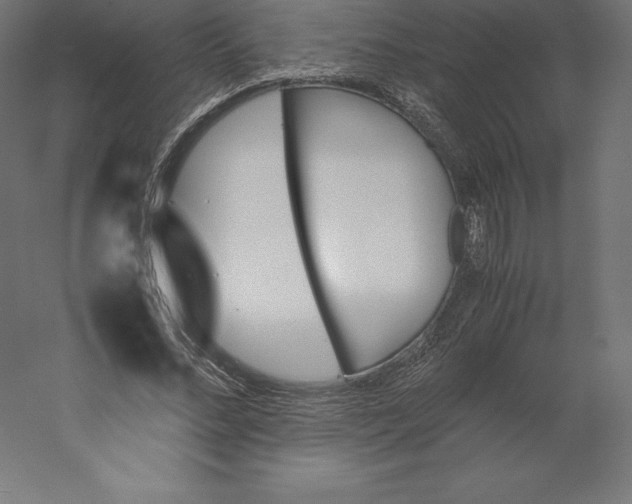 X0000060250684200511241401