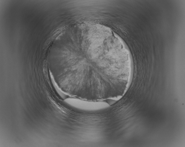 X0000060250687200511241401