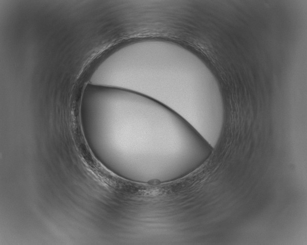 X0000060250688200511241401