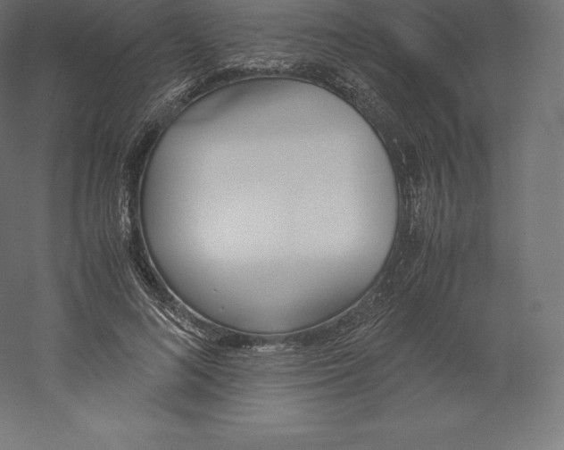 X0000060250692200511241401