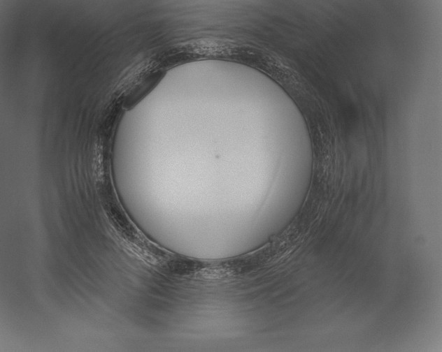 X0000060250696200511241401