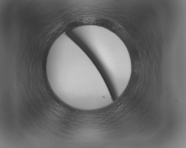 X0000060250697200511241401