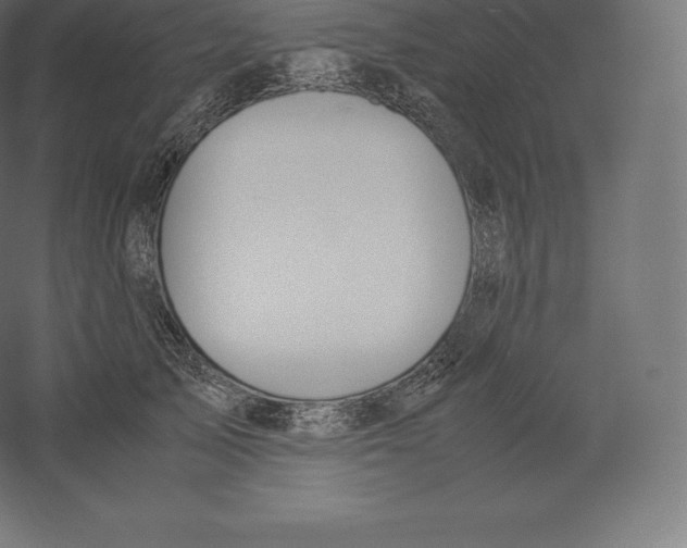 X0000060250705200511241401