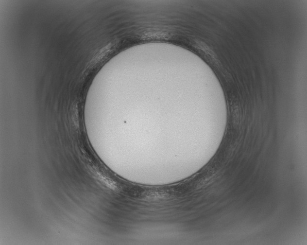X0000060250729200511241400
