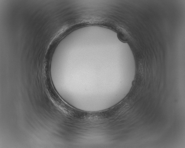 X0000060250730200511241400