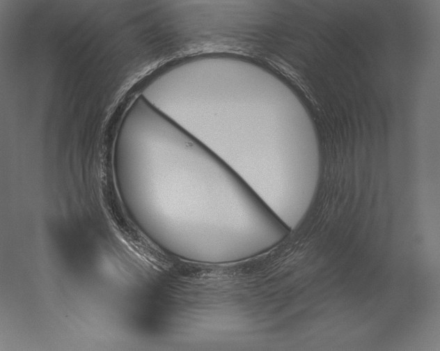X0000060250732200511241400