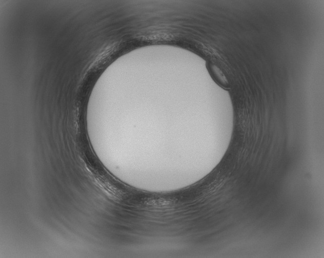 X0000060250735200511241400