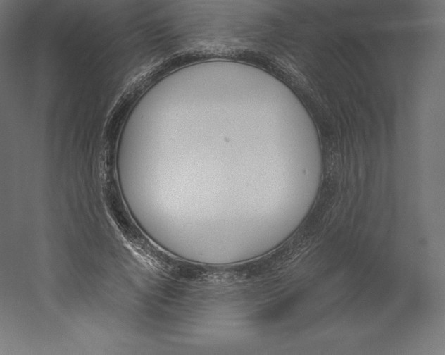 X0000060250736200511241400