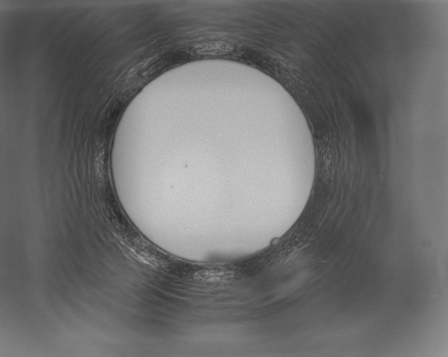 X0000060250745200511241400