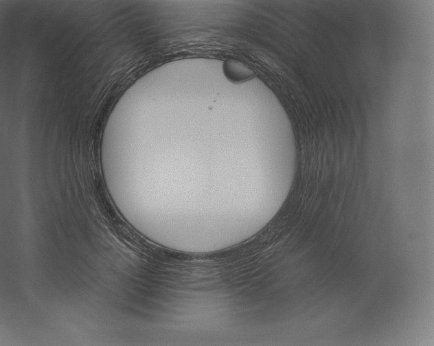 X0000060250748200511241400