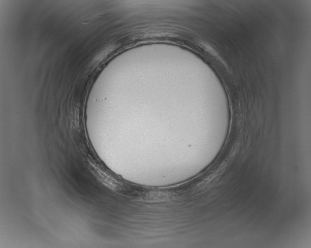 X0000060250777200511241359