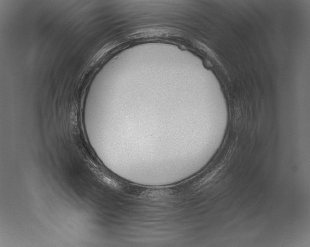 X0000060250778200511241359