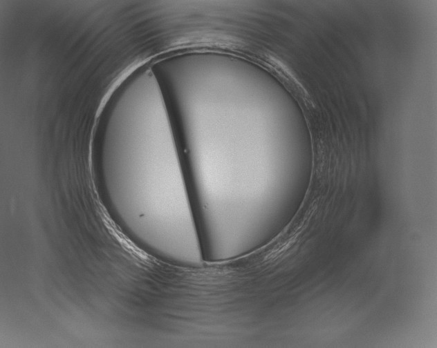X0000060250788200511241359