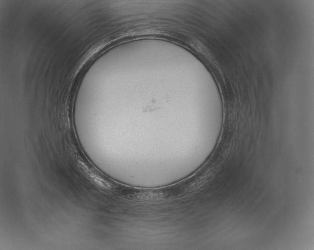 X0000060250789200511241359