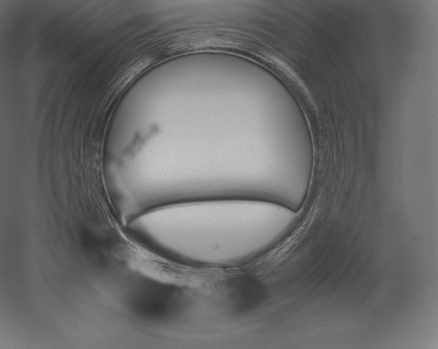 X0000060250793200511241359