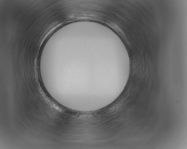 X0000060250798200511241359