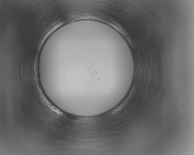 X0000060250806200511241359