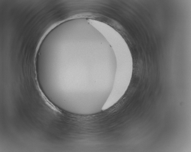 X0000060250808200511241359