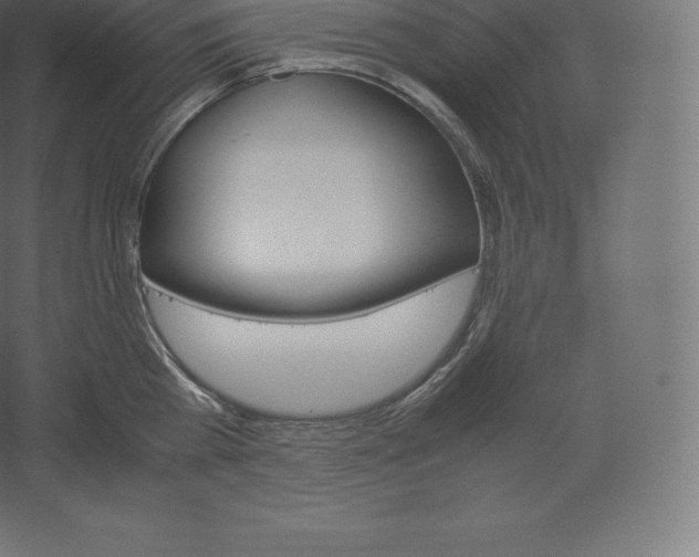 X0000060250809200511241359
