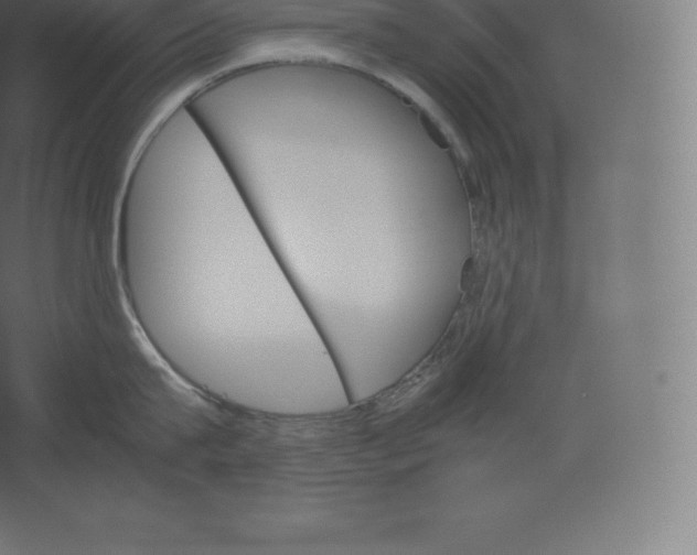 X0000060250815200511241359