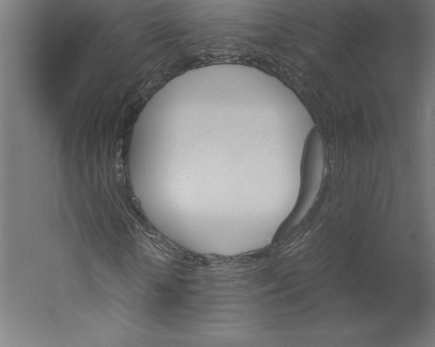 X0000060250818200511241358