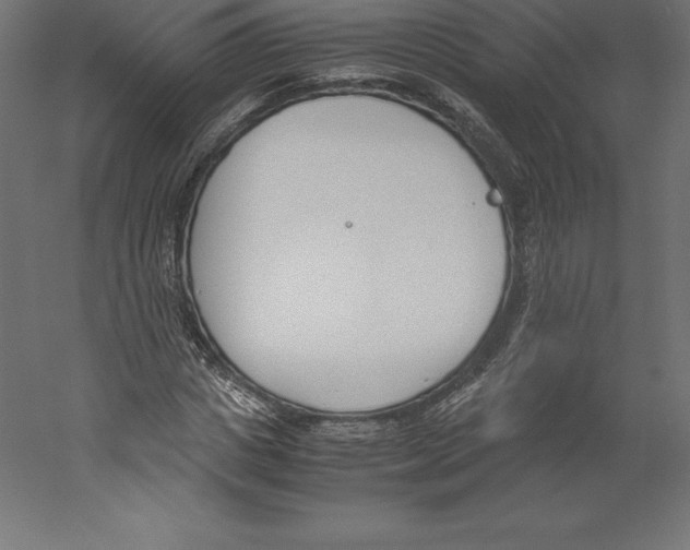 X0000060250825200511241358