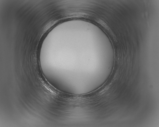 X0000060250834200511241358