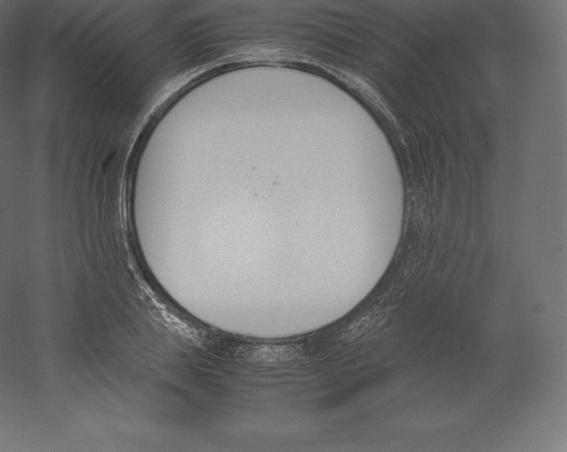 X0000060250839200511241358