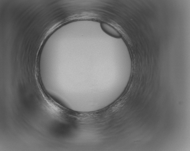 X0000060250850200511241358
