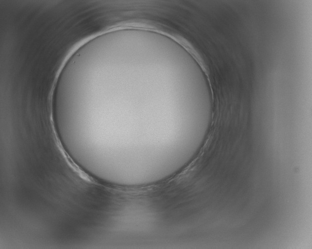 X0000060250862200511241359