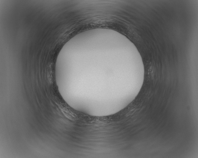 X0000060250868200511241358