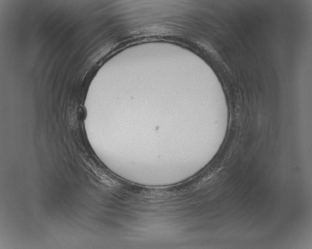 X0000060250873200511241358