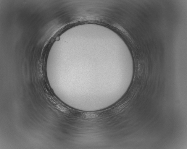 X0000060250878200511241358