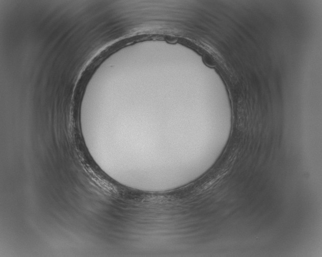 X0000060250880200511241358