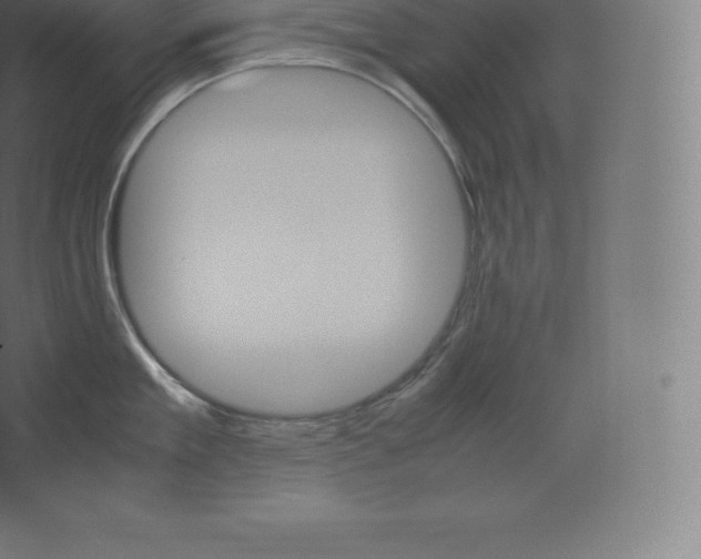 X0000060250909200511241357