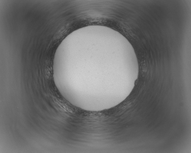 X0000060250916200511241356