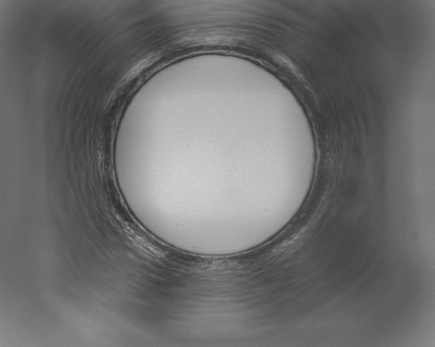 X0000060250922200511241356