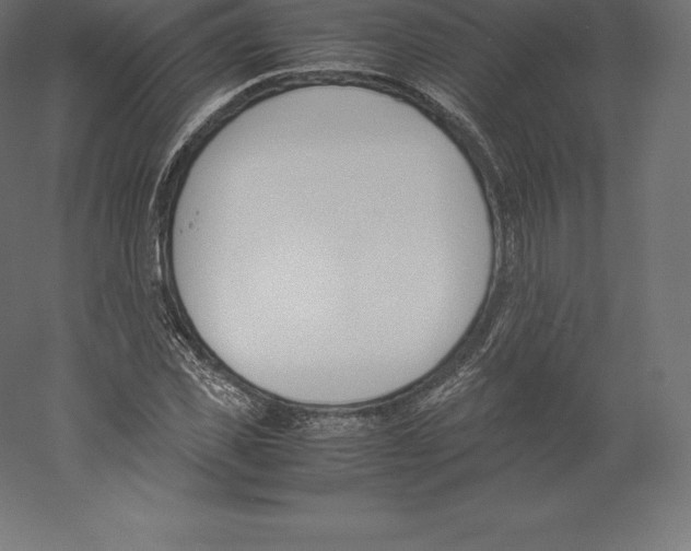 X0000060250925200511241356