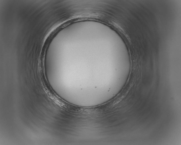 X0000060250928200511241356