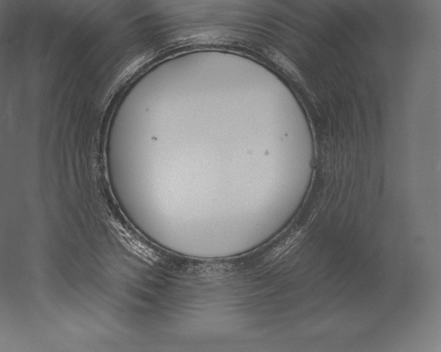 X0000060250930200511241356