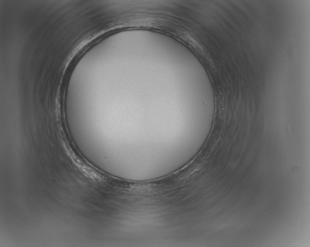 X0000060250944200511241357