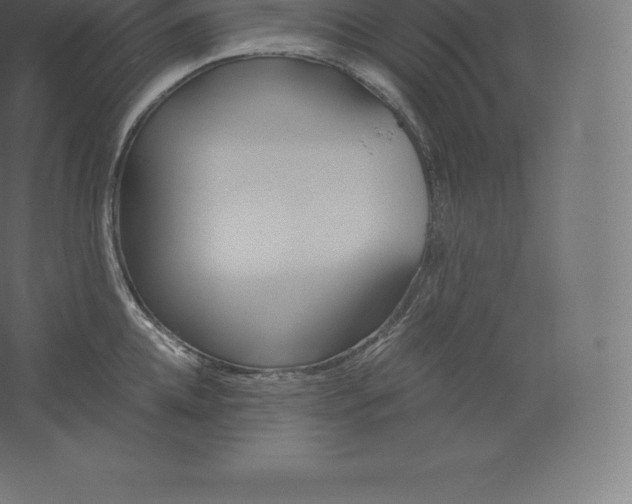 X0000060250952200511241357