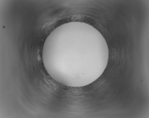 X0000060250962200511241356