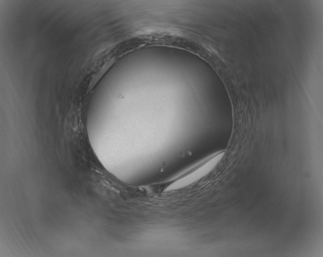X0000060250965200511241356