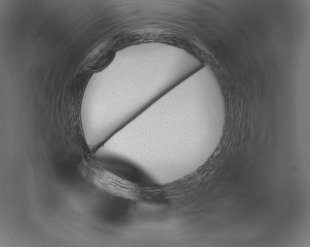 X0000060250967200511241356