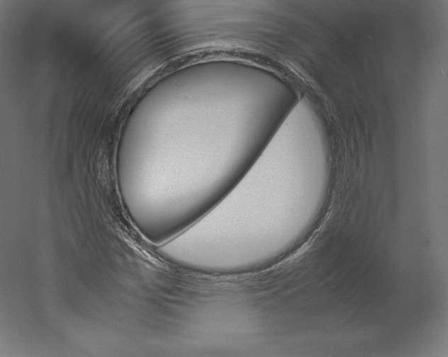 X0000060250969200511241356