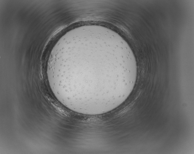 X0000060250974200511241356