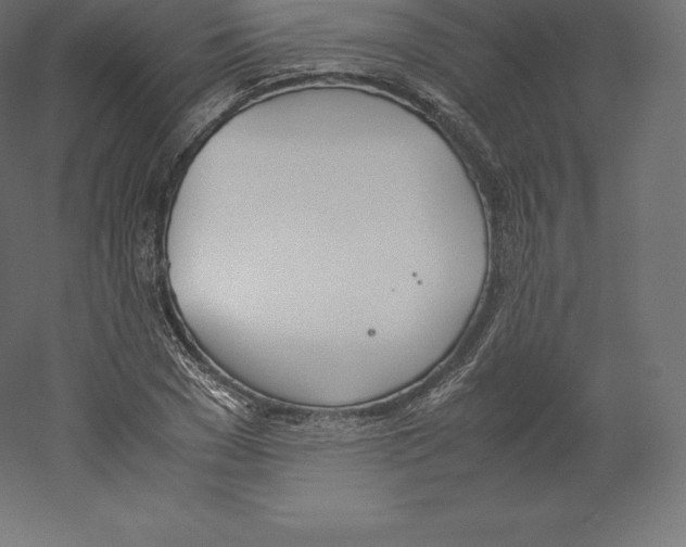 X0000060250977200511241356